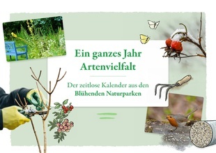 Titelbild "Zeitloser Kalender Bl�hende Naturparke"